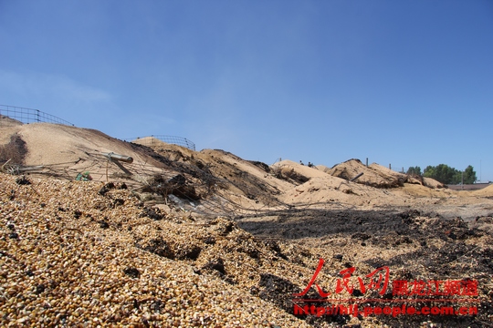 中儲糧林甸直屬庫火災致直接經濟損失約307萬