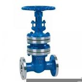 WZ41H 波紋管閘閥