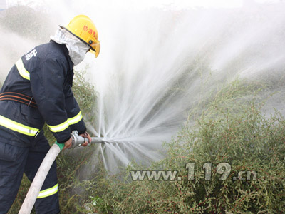 圖為多功能水幕水槍