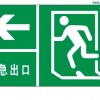 夜光PVC緊急出口標牌，經濟型夜光安全出口標牌，逃生通道標志