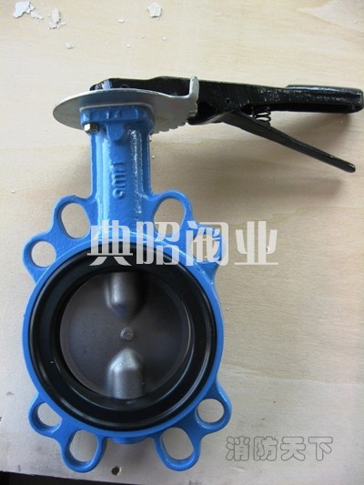 德國凱士比KSB手動(dòng)對(duì)夾蝶閥