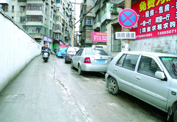 新建路平安巷，消防通道禁停標志前后違停的車輛。