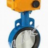 進口電動對夾蝶閥-德國萊克品牌