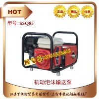 SSQ85泡沫輸轉泵