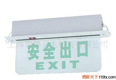 C04型消防應急標志燈牌，應急指示鷗_1